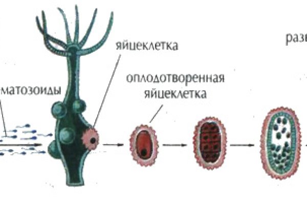 Маркетплейс кракен kraken