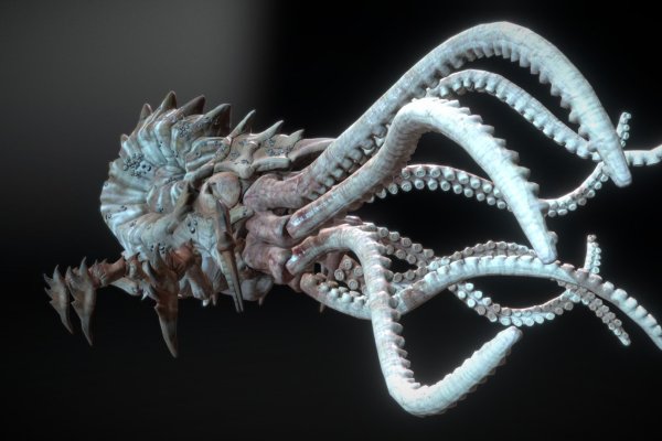 Kraken clear ссылка