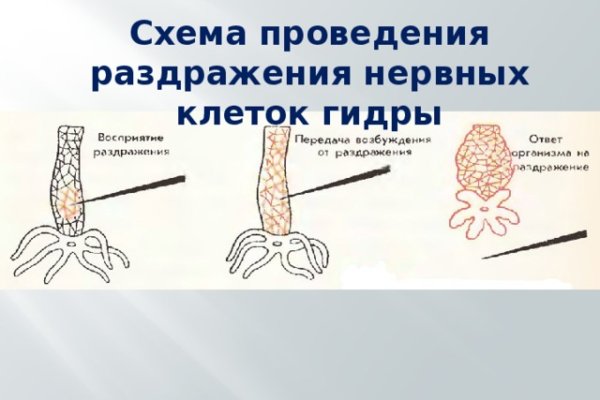 Дарк нет кракен