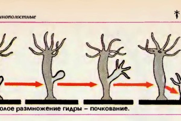 Ссылки на кракен маркетплейс