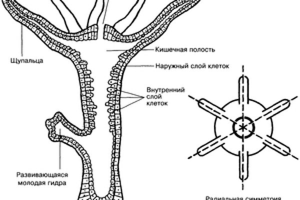 Кракен 2kr pro
